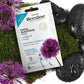 Beesline Express Facial Black Head Mask